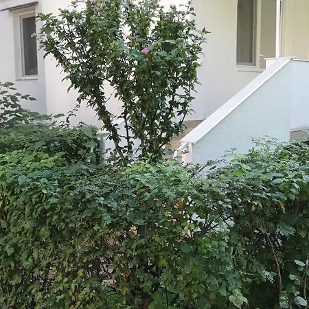 Diamond Apartment Targu Mures Exterior photo