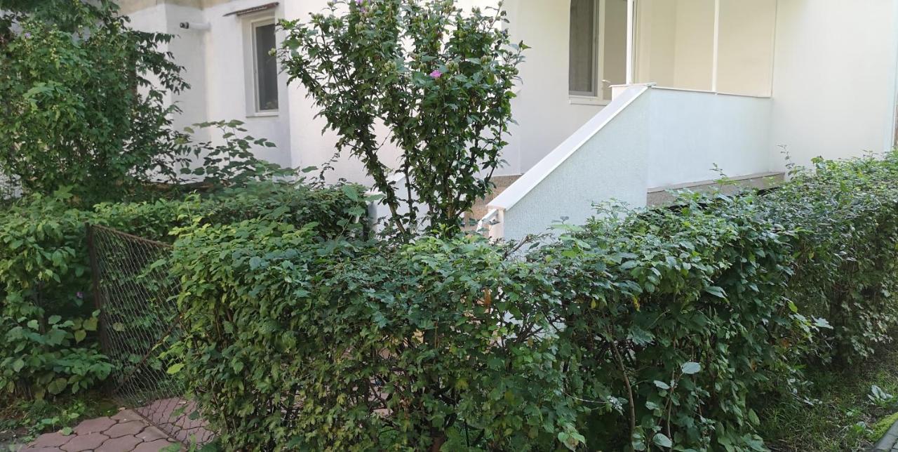 Apartment Diamond Targu Mures
